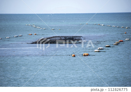 【明石】海苔漁 【明石】海苔漁 112826775