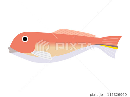 若狭ぐじのイラスト 112826960