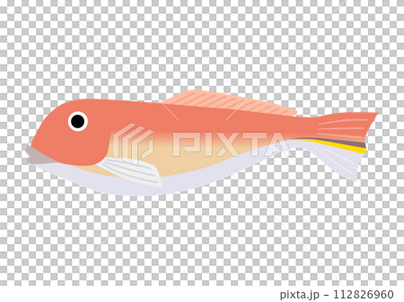 若狹 guji 插圖 112826960