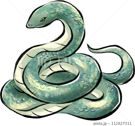 水彩で描いた緑色のヘビのイラストのイラスト素材 [112827311] - PIXTA