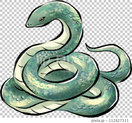 水彩で描いた緑色のヘビのイラストのイラスト素材 [112827311] - PIXTA