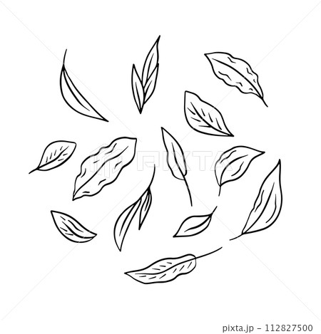 Set of leaves black line art isolated on white 112827500