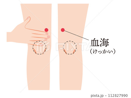 足のツボ 血海 足のツボ 血海 112827990