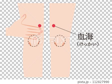 足のツボ 血海 足のツボ 血海 112827990