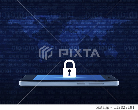 Business internet security and safety online concept, Elements of this image furnished by NASA 112828191