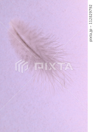 柔らかな羽毛（野鳥の羽根） 112829792