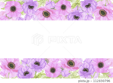 Hand drawn watercolor pink and purple anemone flowers frame border isolated on white background. Can be used for post card, poster and other printed products. 112830796