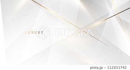 white abstract background with luxury golden lines vector illustration 112831742