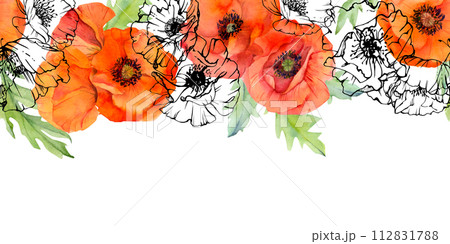 Hand drawn watercolor botanical illustration flowers leaves. Red poppy papaver, stems buds seedpods. Seamless banner isolated white background. Design wedding, love cards, remembrance day stationery 112831788