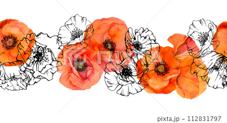 Hand drawn watercolor botanical illustration flowers leaves. Red poppy papaver, stems buds seedpods. Seamless banner isolated white background. Design wedding, love cards, remembrance day stationery 112831797