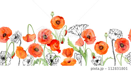 Hand drawn watercolor botanical illustration flowers leaves. Red poppy papaver, stems buds seedpods. Seamless banner isolated white background. Design wedding, love cards, remembrance day stationery Hand drawn watercolor botanical illustration flowers leaves. Red poppy papaver, stems buds seedpods. Seamless banner isolated white background. Design wedding, love cards, remembrance day stationery 112831801