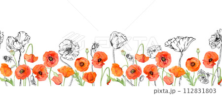 Hand drawn watercolor botanical illustration flowers leaves. Red poppy papaver, stems buds seedpods. Seamless banner isolated white background. Design wedding, love cards, remembrance day stationery Hand drawn watercolor botanical illustration flowers leaves. Red poppy papaver, stems buds seedpods. Seamless banner isolated white background. Design wedding, love cards, remembrance day stationery 112831803