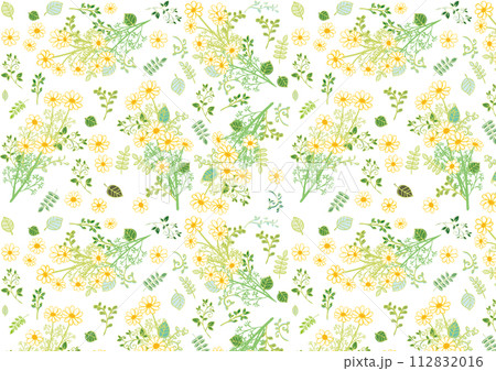 手書き風　カモミール　パターン3 112832016