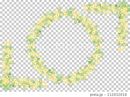 手書き風　カモミール　フレーム8 112832018