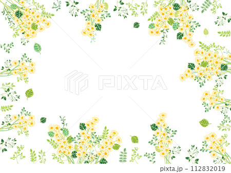 手書き風　カモミール　フレーム7 112832019