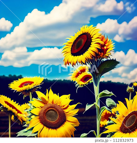 Captivating summer backdrop with a mix of sunflowers and daisies. 112832973