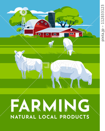 sheep farm concept. A large field with green grass and a traditional farmhouse with a barn. Agriculture, farming and harvest concept. vector flat illustration sheep farm concept. A large field with green grass and a traditional farmhouse with a barn. Agriculture, farming and harvest concept. vector flat illustration 112833123