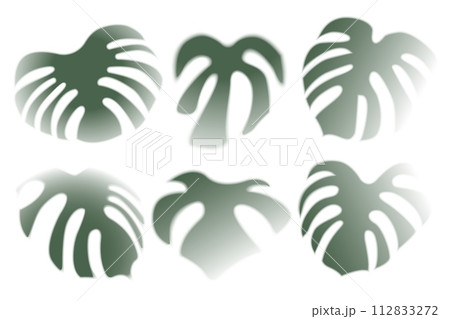 Monstera leaves transparent shadows set vector eps10 Monstera leaves transparent shadows set vector eps10 112833272