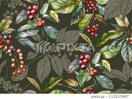 Coffee tree. Branch with leaves and berries.  112833907