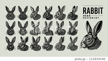 Collection of hand drawn side view rabbit head design vector Collection of hand drawn side view rabbit head design vector 112834540