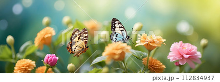 Saturated bright vibrant color butterflies on spring and summer wild flowers in a field with a space for text. Spring time, summer time. AI generated 112834937
