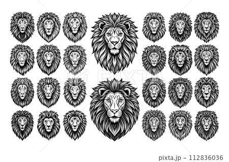 Tshirt design of front view hand drawn lion head set 112836036