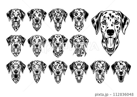 Set of hand drawn barking dalmatian dog head illustration design 112836048