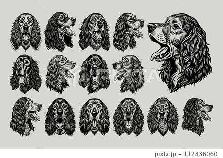 Set of english cocker spaniel dog head illustration design 112836060