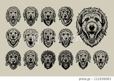 Front view of goldendoodle dog face sticker design vector set Front view of goldendoodle dog face sticker design vector set 112836065