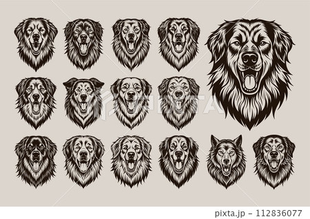 Vintage hand drawn great pyrenees dog head illustration design set 112836077