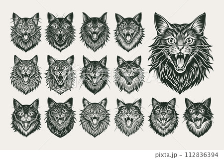 Meowing british longhair cat head illustration design bundle 112836394