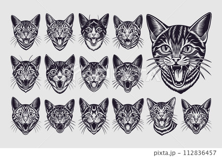 Collection of hand drawn meowing american wirehair cat head design 112836457
