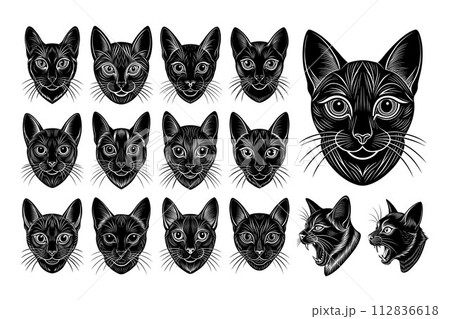 Front view of hand drawn bombay cat head illustration design set 112836618