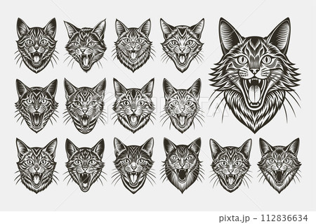 Funny meowing american bobtail cat in front view design vector set Funny meowing american bobtail cat in front view design vector set 112836634