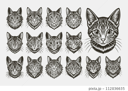 Cute front view of american bobtail cat face illustration design set Cute front view of american bobtail cat face illustration design set 112836635