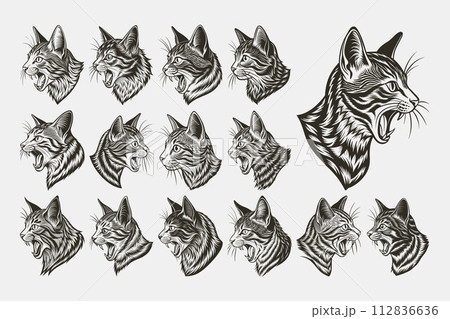 Adorable side view meowing american bobtail cat head illustration set 112836636