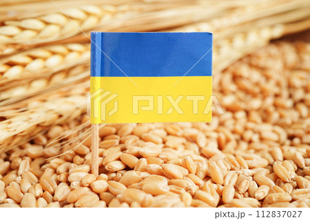 Ukraine flag on grain wheat, trade export and economy concept. 112837027