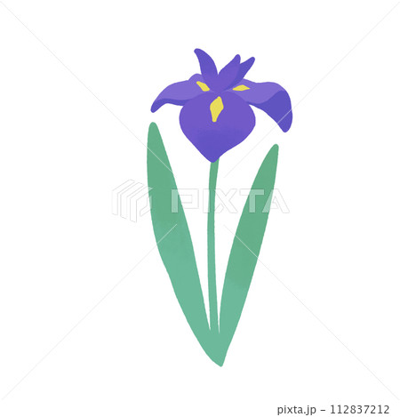 紫の花菖蒲 112837212