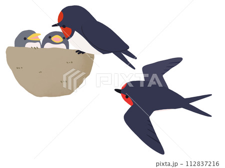 ツバメのイラストセット 112837216