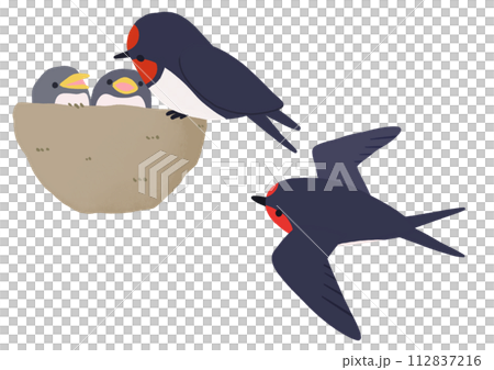 ツバメのイラストセット 112837216