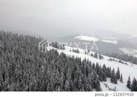 Aerial foggy landscape with evergreen pine trees covered with fresh fallen snow after heavy snowfall in winter mountain forest on cold quiet evening. 112837410