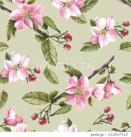 Branch of apple or other spring blossom tree seamless pattern, flowers and buds. Springtime blooming plant. Hand drawn botanical clipart for fabric, wrapping, wallpaper print Isolated green background Branch of apple or other spring blossom tree seamless pattern, flowers and buds. Springtime blooming plant. Hand drawn botanical clipart for fabric, wrapping, wallpaper print Isolated green background 112837513