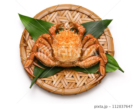 ケガニの塩ゆで ケガニの塩ゆで 112837647