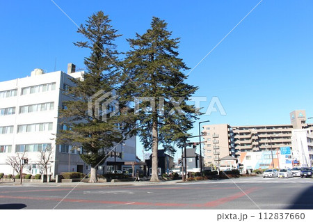 宇都宮LRT西側延伸 宇都宮LRT西側延伸 112837660