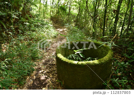 摂津「芥川山城」の登城道や石垣　本丸からの眺望 112837803