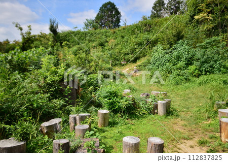 摂津「芥川山城」の登城道や石垣　本丸からの眺望 112837825