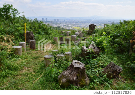 摂津「芥川山城」の登城道や石垣 本丸からの眺望 摂津「芥川山城」の登城道や石垣 本丸からの眺望 112837826