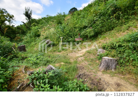 摂津「芥川山城」の登城道や石垣 本丸からの眺望 摂津「芥川山城」の登城道や石垣 本丸からの眺望 112837827