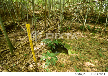 摂津「芥川山城」の登城道や石垣 本丸からの眺望 摂津「芥川山城」の登城道や石垣 本丸からの眺望 112837841