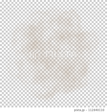 Brush Brush 112840110